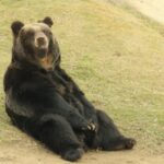 最近休んでる？